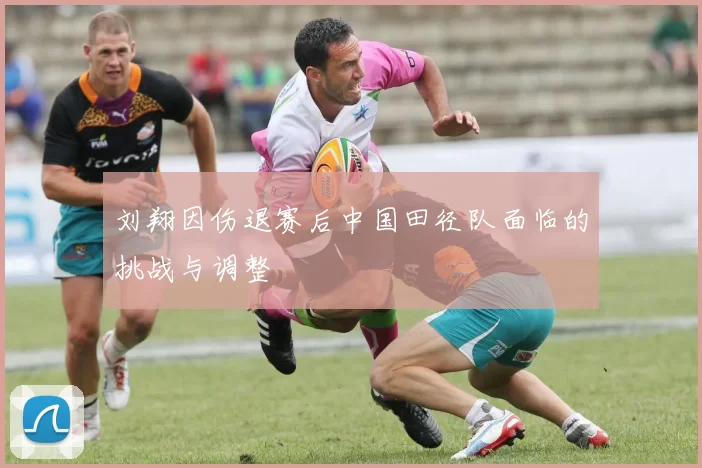 刘翔因伤退赛后中国田径队面临的挑战与调整