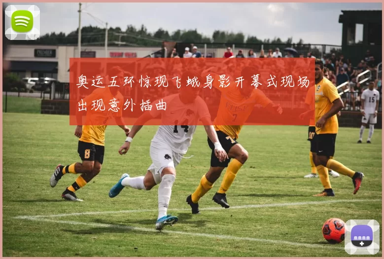 奥运五环惊现飞蛾身影开幕式现场出现意外插曲